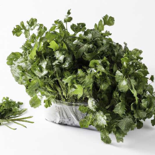 Cilantro 60 ct