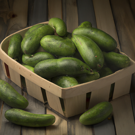 Pickle Cucumber - Pepinillo